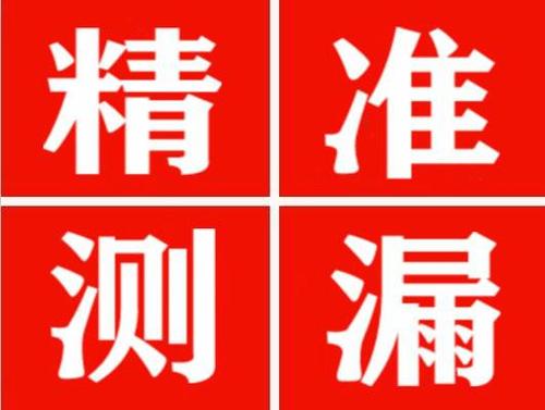 应城尚嘉漏水精准查找